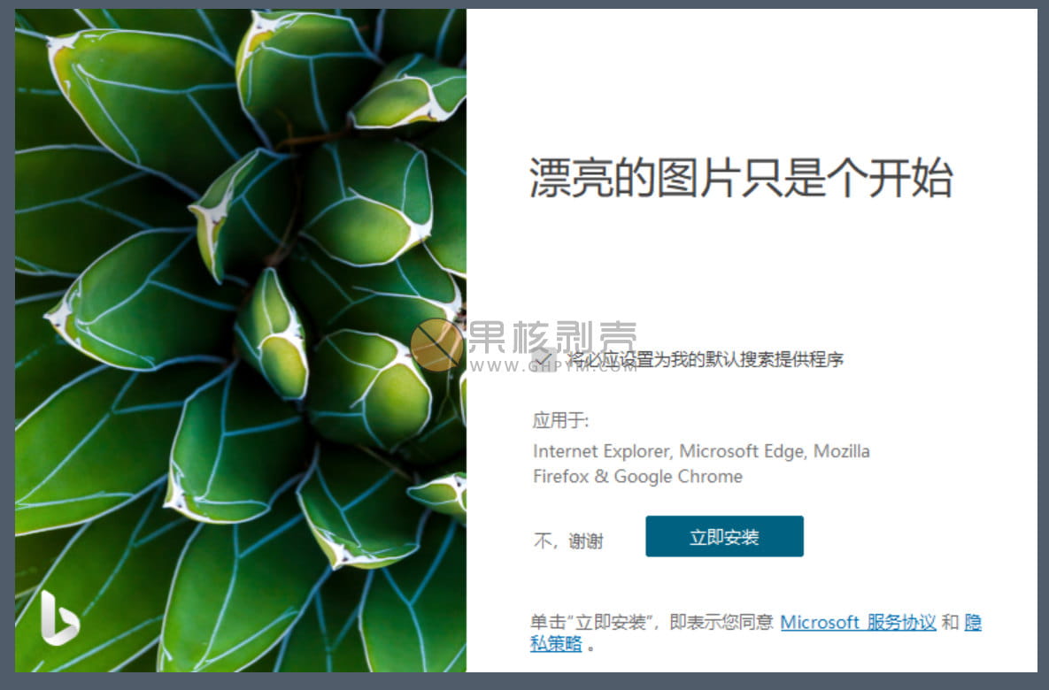 Bing Wallpaper(微软壁纸) v2.0.1.6 中文多语免费版-91学习网