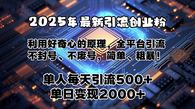 2025年最新引流创业粉，利用好奇心的原理，全平台引流，不封号、不废号，简单、粗暴-91学习网