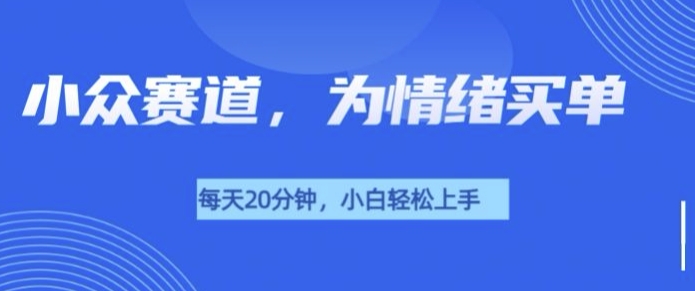 小众赛道，我的治愈系电子抱枕，让用户为情绪买单-91学习网