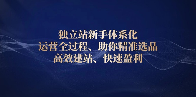 （13914期）独立站新手体系化 运营全过程，助你精准选品、高效建站、快速盈利-91学习网