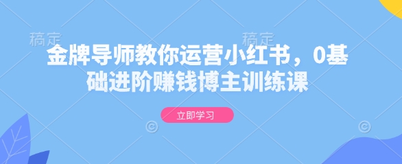 金牌导师教你运营小红书，0基础进阶赚钱博主训练课-91学习网