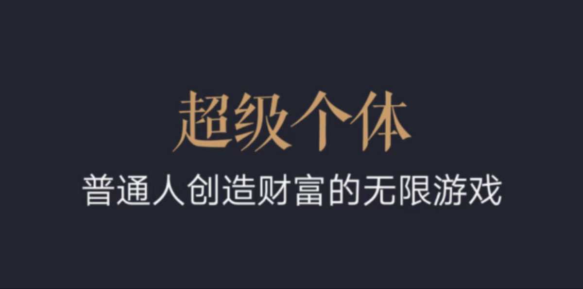 超级个体：2024-2025翻盘指南，普通人创造财富的无限游戏-91学习网