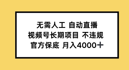 无需人工自动直播，视频号长期项目不违规，官方保底月入4000左右-91学习网