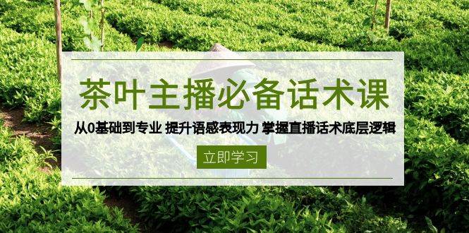 茶叶主播必备话术课 从0基础到专业 提升语感表现力 掌握直播话术底层逻辑-91学习网