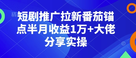 短剧推广拉新番茄锚点半月收益1万+大佬分享实操-91学习网