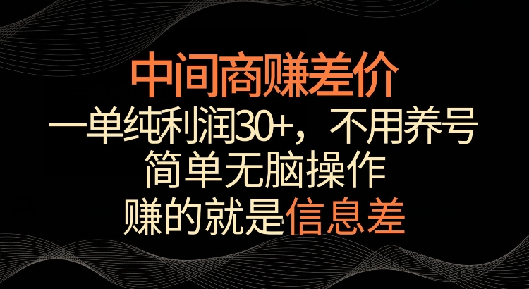 利用信息查赚差价，每单都有高利润，简单无脑操作，轻松日入多张-91学习网