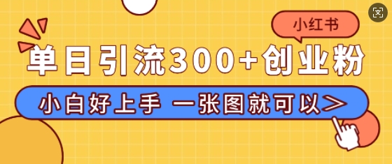 小红书单日引流300+创业粉，“简单粗暴”引流法，小白好上手，私信回不完-91学习网