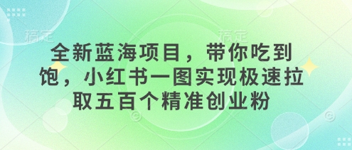 全新蓝海项目，带你吃到饱，小红书一图实现极速拉取五百个精准创业粉-91学习网