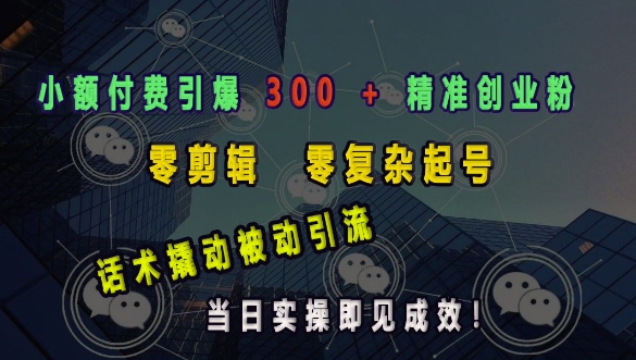 小额付费引爆 300 + 精准创业粉，零剪辑、零复杂起号，话术撬动被动引流，当日实操即见成效-91学习网