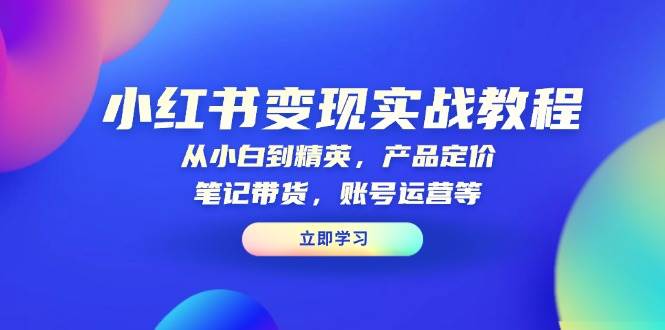 小红书变现实战教程：从小白到精英，产品定价，笔记带货，账号运营等-91学习网