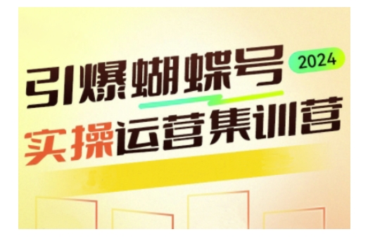 引爆蝴蝶号实操运营，助力你深度掌握蝴蝶号运营，实现高效实操，开启流量变现之路-91学习网