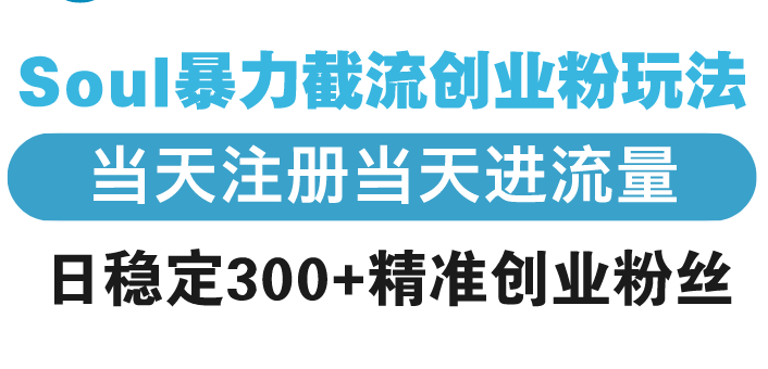 （13935期）Soul暴力截流创业粉玩法，当天注册当天进流量，日稳定300+精准创业粉丝-91学习网