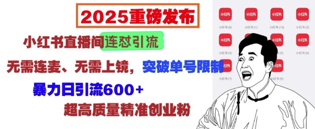 2025重磅发布：小红书直播间连怼引流，无需连麦、无需上镜，突破单号限制，暴力日引流600+-91学习网