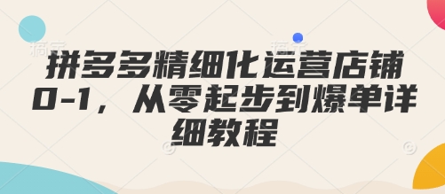 拼多多精细化运营店铺0-1，从零起步到爆单详细教程-91学习网