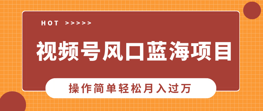 视频号风口蓝海项目，中老年人的流量密码，操作简单轻松月入过W-91学习网