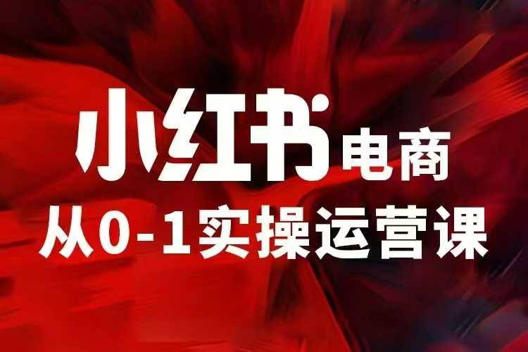 小红书电商运营，97节小红书vip内部课，带你实现小红书赚钱-91学习网