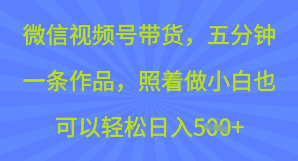 微信视频号带货，五分钟一条作品，照着做小白也可以轻松日入5张-91学习网