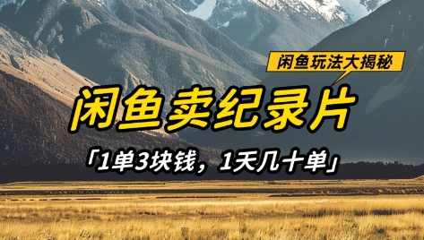闲鱼卖纪录片1单3块钱，1天几十单，项目稳定有潜力-91学习网