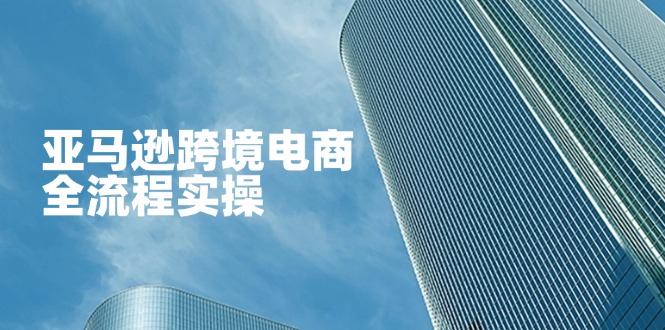 （14252期）亚马逊跨境电商全流程实操，教你从零开始，掌握店铺运营与广告技巧-91学习网