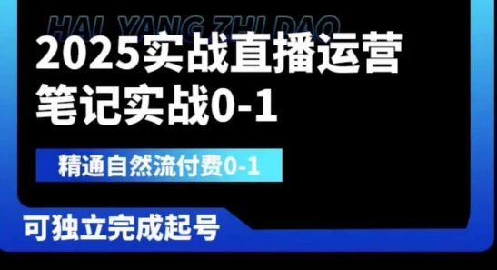 2025实战直播运营0-1，精通自然流付费0-1，可独立完成起号-91学习网